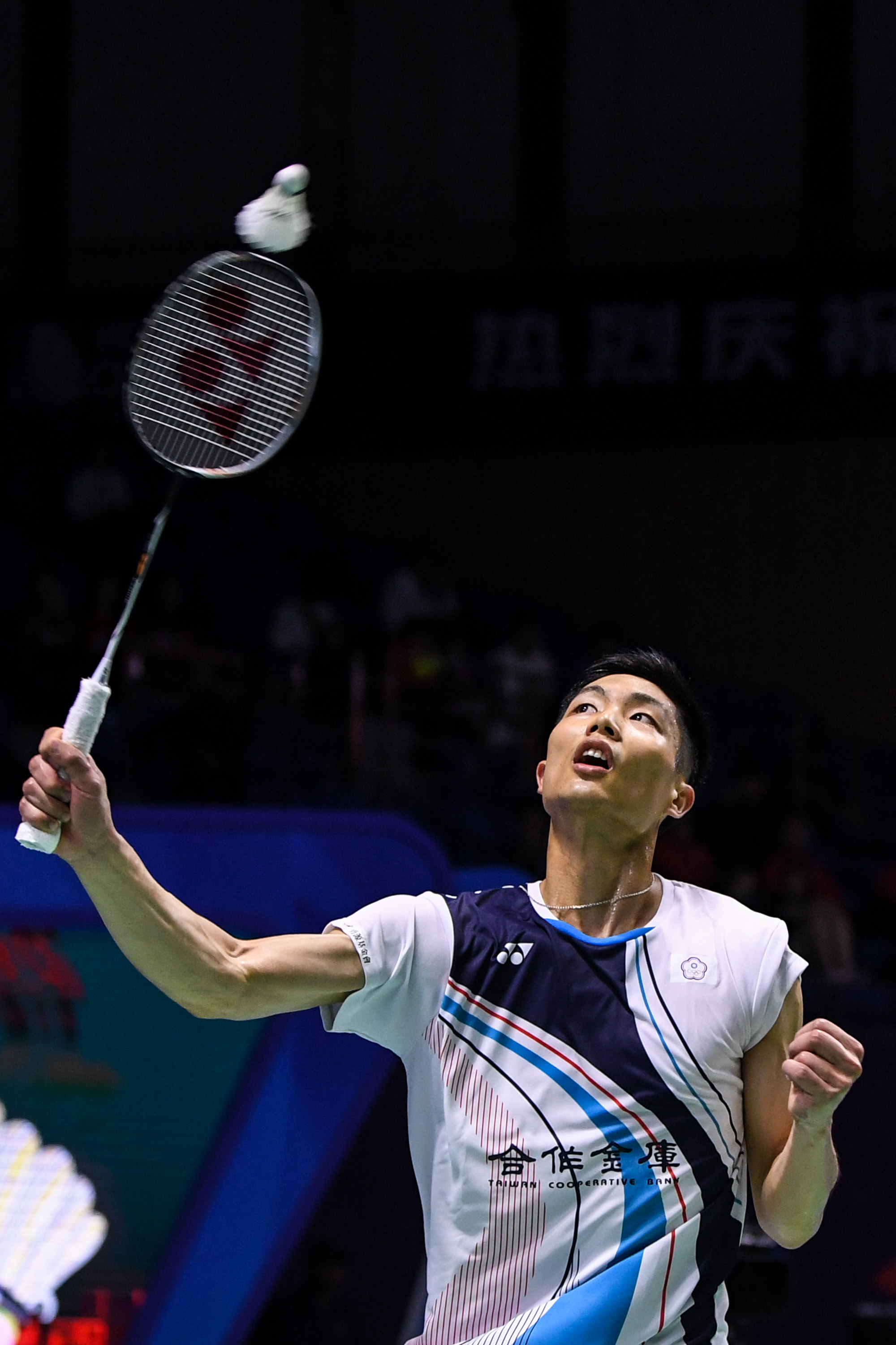 畏惧梅斯塔 畏惧梅斯塔