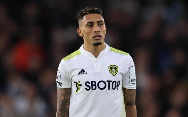 的明星效应 的明星效应